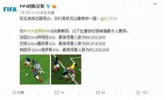 国际足联为中国球迷点赞 互联网看球成大势